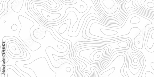 Seamless pattern with lines White wave paper curved reliefs abstract background, Abstract topographic contours map background. Abstract black and white topographic contours lines of mountains. photo
