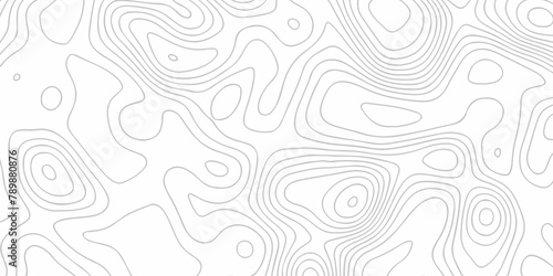 Seamless pattern with lines White wave paper curved reliefs abstract background, Abstract topographic contours map background. Abstract black and white topographic contours lines of mountains.