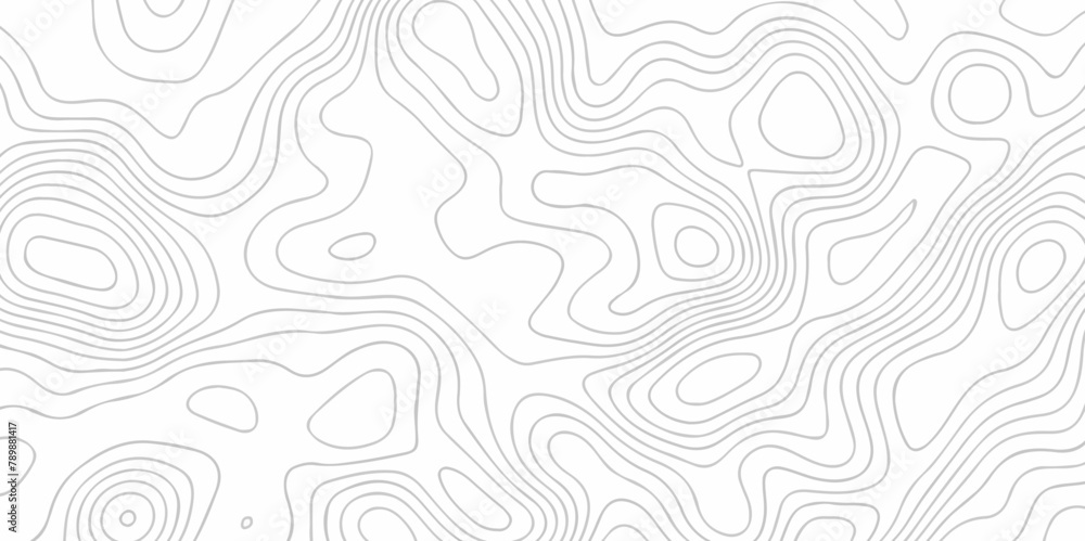 Fototapeta premium Seamless pattern with lines White wave paper curved reliefs abstract background, Abstract topographic contours map background. Abstract black and white topographic contours lines of mountains.