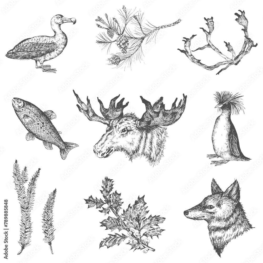 Fototapeta premium Animal drawing collection social ads template transparent png