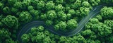 top view photo aerial green forest with road and car