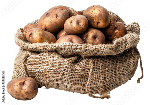 Rustic sack of fresh brown potatoes isolated on transparent background