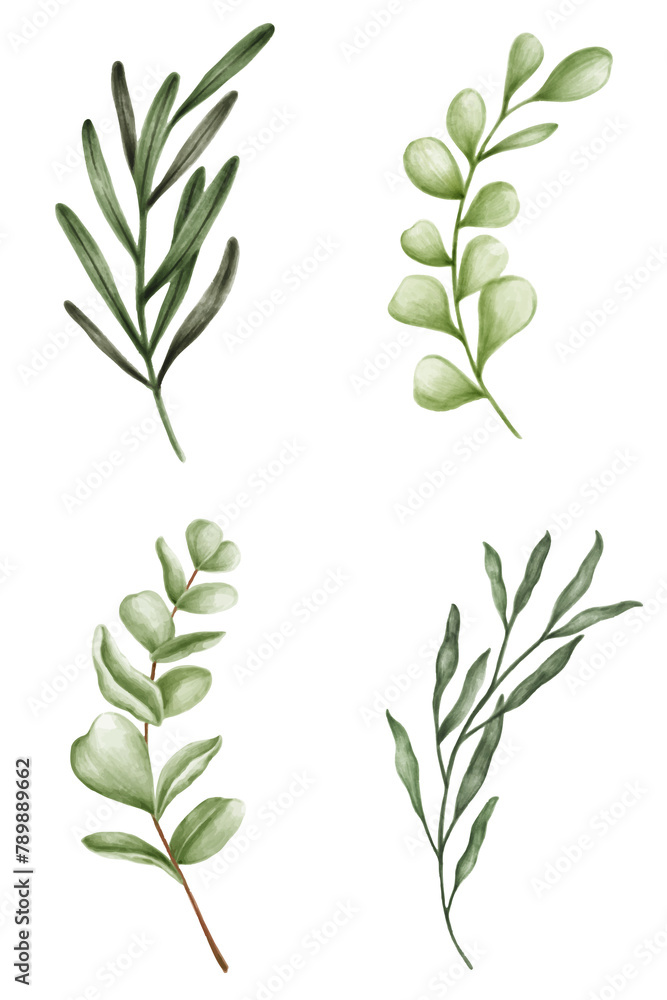 Green leaves collection transparent png