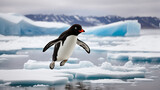 A penguin is jumping out of the water.

