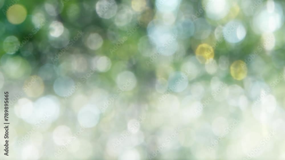 森の木漏れ日と日差し緑の背景 クリスタルのきれいなキラキラ光り輝く大小の明るいボケの回転の背景 自然・レンズボケ・効果・太陽・宝石・ウエディング・パーティーのイメージ 森の木漏れ日と日差し緑の背景 クリスタルのきれいなキラキラ光り輝く大小の明るいボケの回転の背景 自然・レンズボケ・効果・太陽・宝石・ウエディング・パーティーのイメージ