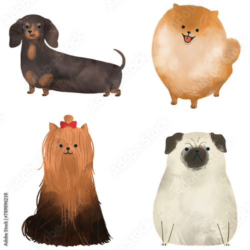 Photography Friendly dogs watercolor collection transparent png