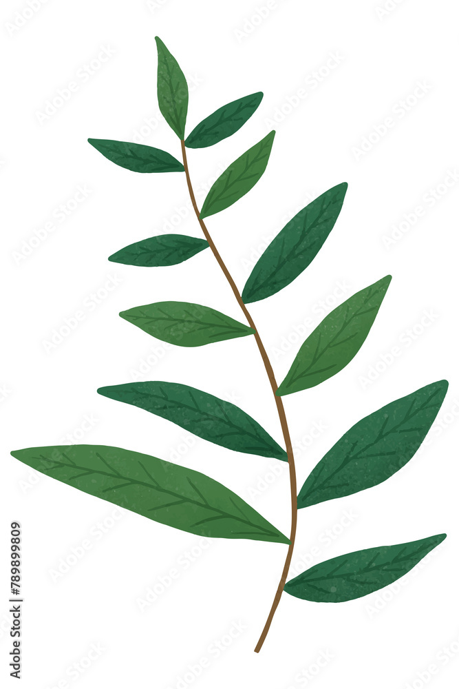 Branch with green leaves design element transparent png Branch with green leaves design element transparent png