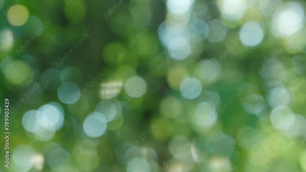森の木漏れ日と日差し緑の背景 クリスタルのきれいなキラキラ光り輝く大小の明るいボケの回転の背景 自然・レンズボケ・効果・太陽・宝石・ウエディング・パーティーのイメージ 森の木漏れ日と日差し緑の背景 クリスタルのきれいなキラキラ光り輝く大小の明るいボケの回転の背景 自然・レンズボケ・効果・太陽・宝石・ウエディング・パーティーのイメージ