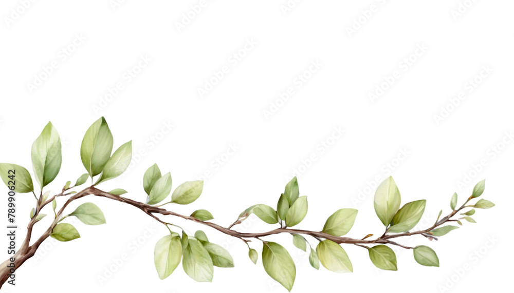 Fototapeta premium branch with leaves