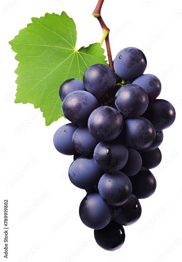 Fototapeta premium black grape dark blue grape isolated on white background. With clipping path. Full depth of field