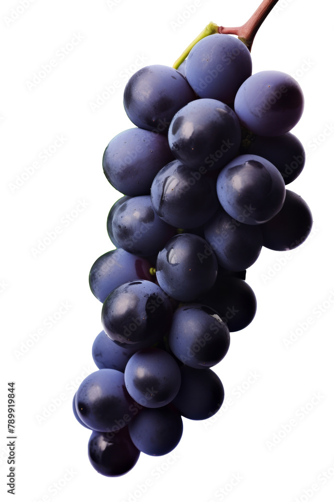 black grape dark blue grape isolated on white background. With clipping path. Full depth of field