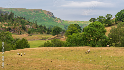 Landscape in the Lake District near Thirlmere  Cumbria  UK