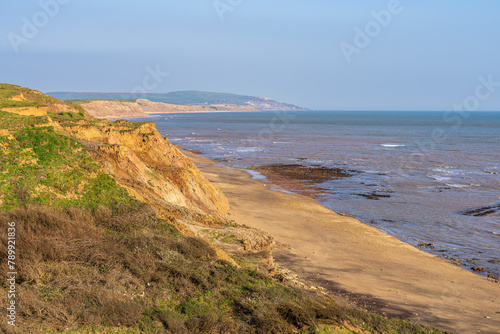 The Channel coast near Brighstone Bay  Isle of Wight  UK