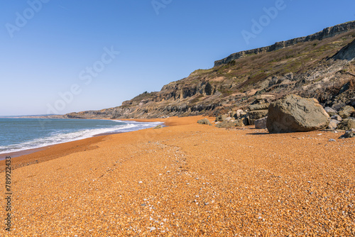 The Channel Coast near Chale Bay, Isle of Wight, UK