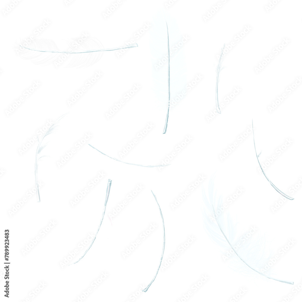 Feather png design element set Feather png design element set