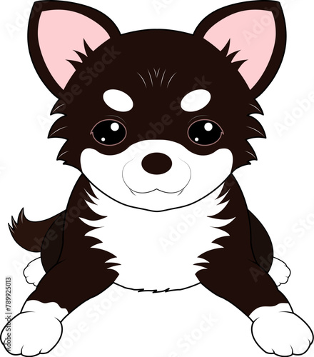 伏せをする黒のチワワ