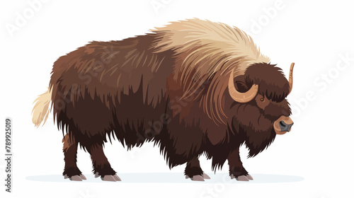 Musk-ox flat vector illustration. Norway wildlife rep