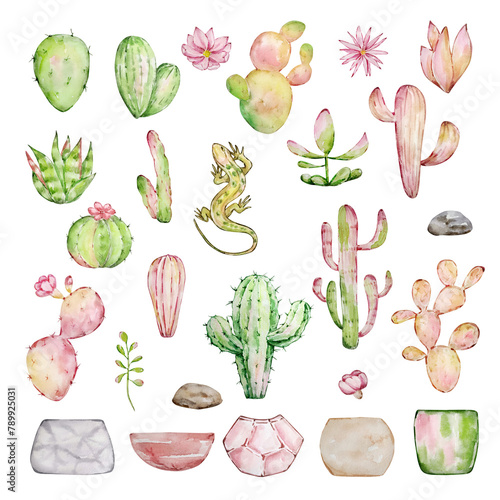 Watercolor cactus set, desert mexican plants photo