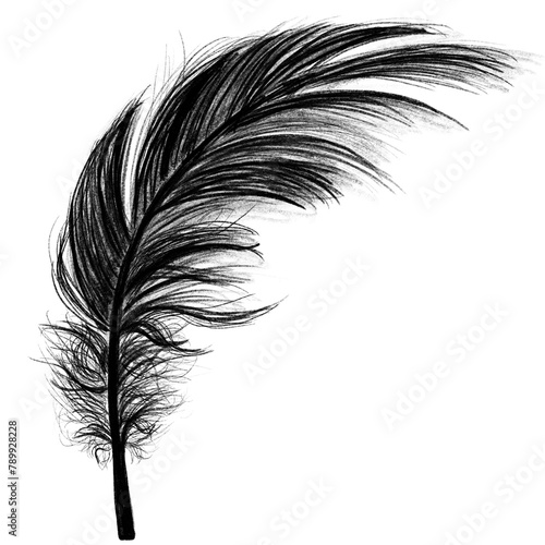 Png black feather design element photo