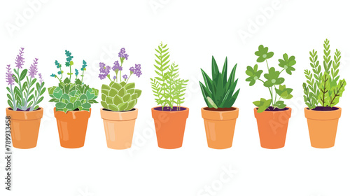 Potted houseplants flat vector illustration. Succulen