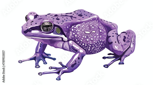 Purple pignose frog. Indian violet froggy with smooth