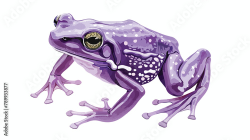 Purple pignose frog. Indian violet froggy with smooth