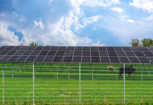 Eingezäuntes Solarfeld auf einer Weide bei Mamming, Niederbayern, Bayern, Deutschland