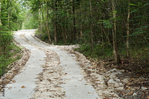 A dirt road with a few trees in the background. The road is not paved and has a lot of debris on it