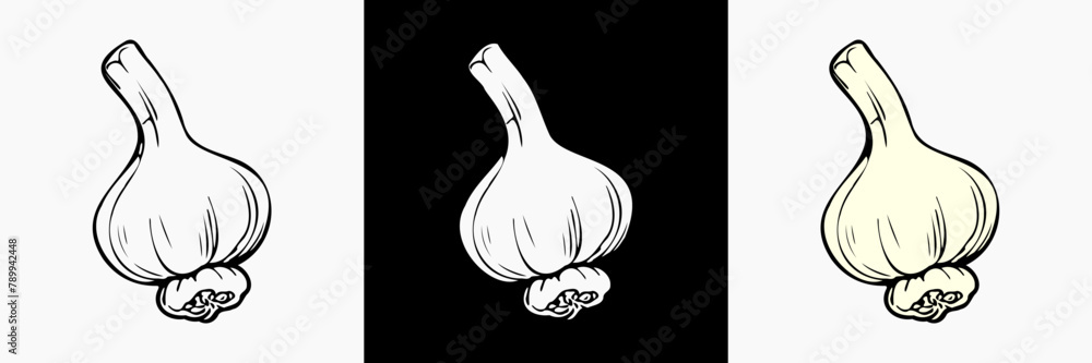Garlic vegetable vector silhouette, vegan illustration.