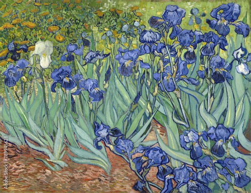Irises by Vincent van Gogh, 1889 photo