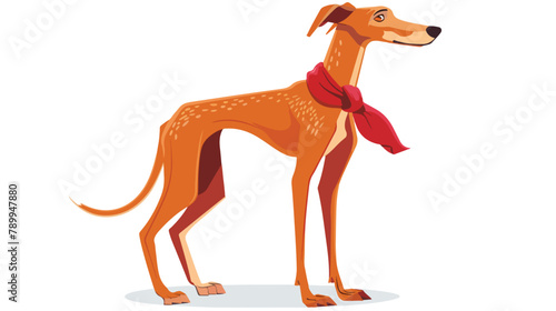 Sighthound or gazehound. Lovely cute hunting dog 