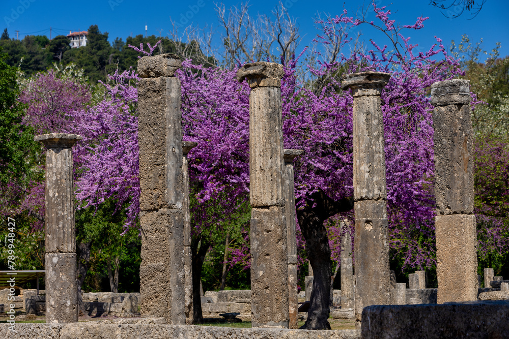 Olympia Archaeological Site with Beautiful Pink Blooming Flowers, Greece - obrazy, fototapety, plakaty 