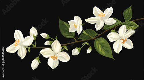 Star-shaped white jasmine flowers with eight petals.