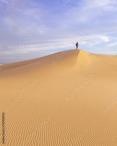 Fototapeta Naklejka Na Ścianę i Meble -  Aerial view over the dramatic sand dunes of the Parque Natural in the early morning sunshine near Corralejo in Fuerteventura Canary Islands Spain