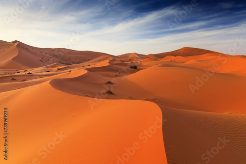 The Sahara Desert  Morocco. Sand dunes landscape of the Erg Chebbi  Merzouga.