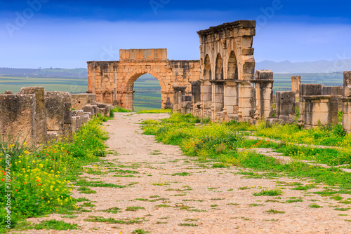 Volubilis, Morocco. The Arch of Caracalla on the city's main street, the Decumanus Maximus. photo