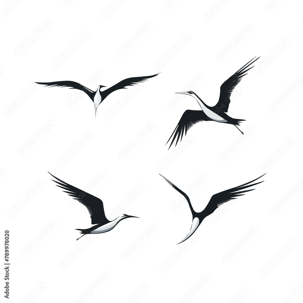 Albatross | Minimalist and Simple set of 3 Line White background - Vector illustration Albatross | Minimalist and Simple set of 3 Line White background - Vector illustration