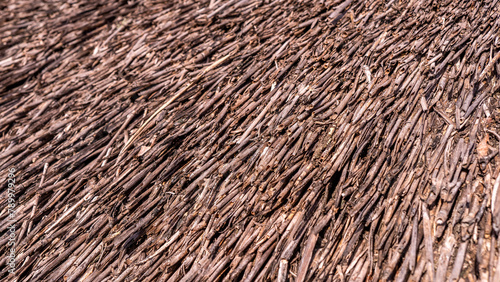 Close up view of reed thatch