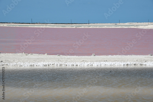 Różowa woda w jeziorze w Rio Lagartos - Meksyk