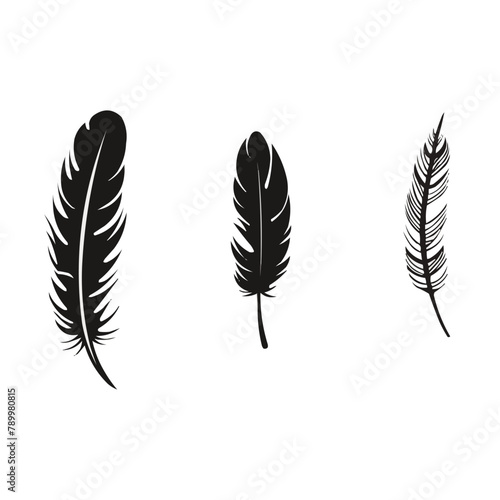 Feather | Minimalist and Simple set of 3 Line White background - Vector illustration