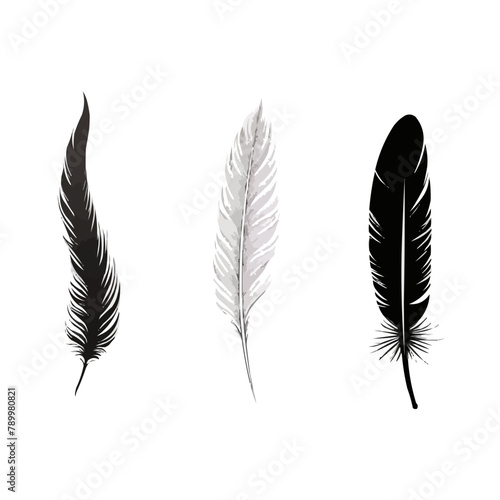 Feather | Minimalist and Simple set of 3 Line White background - Vector illustration