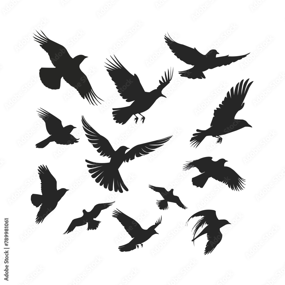 Obraz premium flying birds silhouette, white background, vector