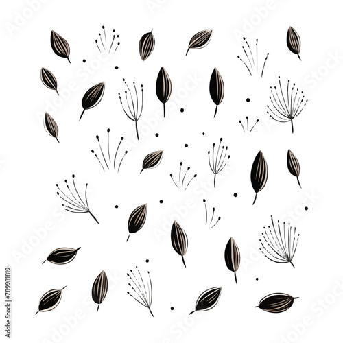 Seeds | Minimalist and Simple Line White background - Vector illustration