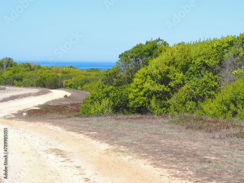 Hiking adventure fishermans trail named Rota Vicentina through the beautiful nature of Portugal photo