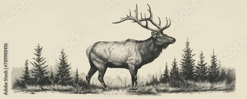 elk Engraving style. Simple pencil drawing vector