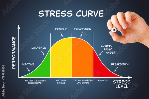 Stress Curve Graph Diagram With Different Stages