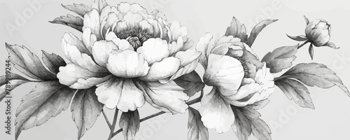 A black and white drawing of a flower with a stem