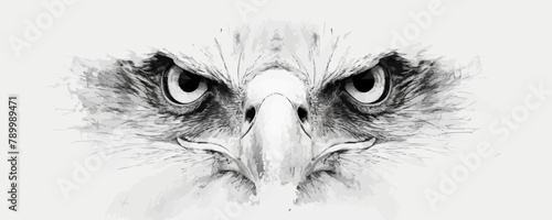 The image is a close up of an eagle's face with its eyes wide open
