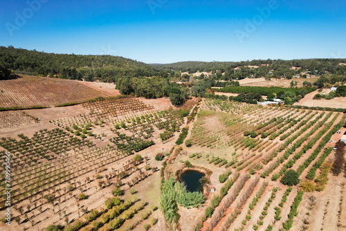 The orchards and wineries in the Bickley Valley, Perth Hills during autumn