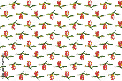 Illustration pattern, Abstract of Flame lily, Climbing lily, Turk's cap flower with leaf on white background.